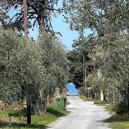 Calypso
